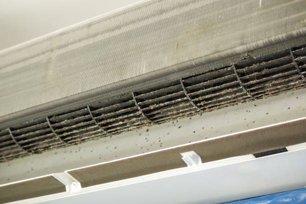 Best Best Air Duct Cleaning Company  in Rollingwood, CA